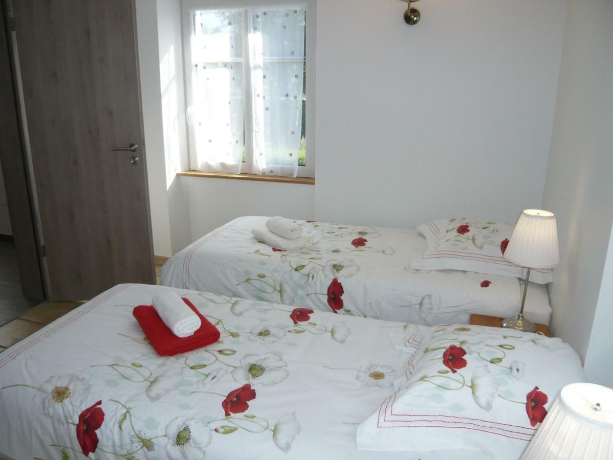 Maison Des Ecluses Strasbourg F3 90M2 Jacuzzi Climatisation Exteriér fotografie